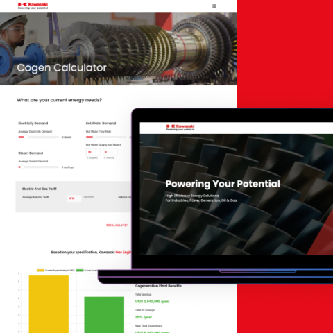 Kawasaki Gas Project