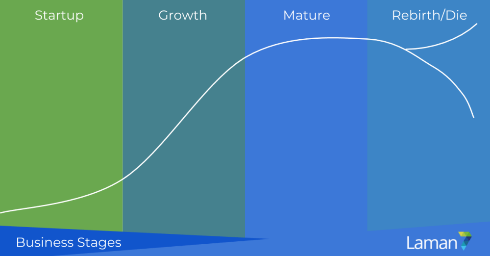 - web design business stages 05 1