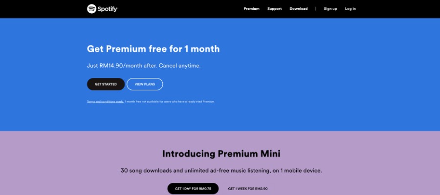 web design styles - minimalist spotify