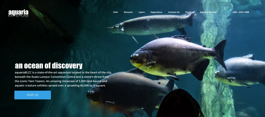 web design styles - realism aquaria